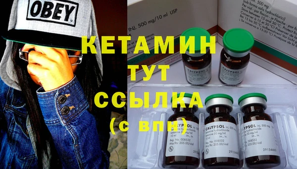 ПСИЛОЦИБИНОВЫЕ ГРИБЫ Верхний Тагил