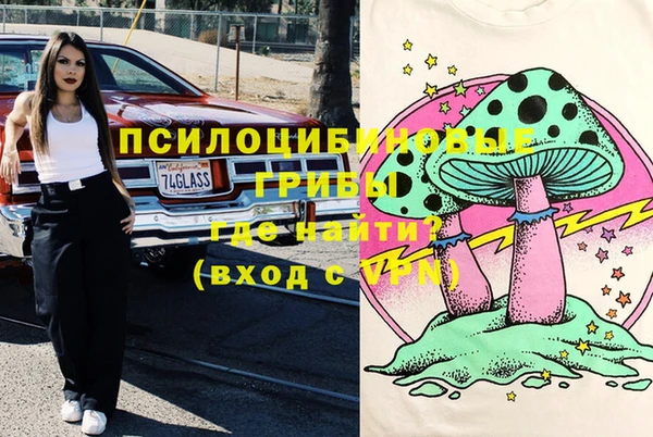 ПСИЛОЦИБИНОВЫЕ ГРИБЫ Верхний Тагил