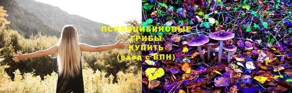 гашик Верхнеуральск