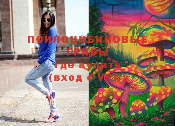 ПСИЛОЦИБИНОВЫЕ ГРИБЫ Верхний Тагил