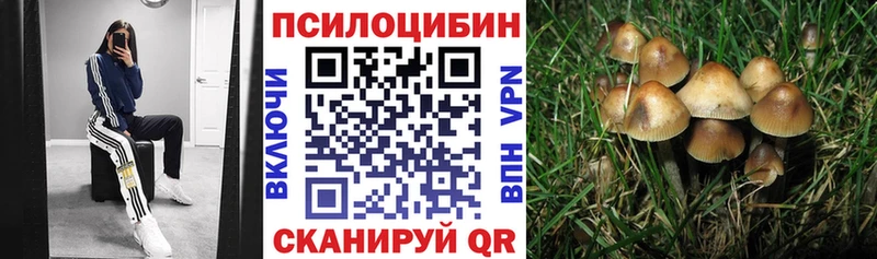 Галлюциногенные грибы мицелий  Купить закладки  Ликино-Дулёво 